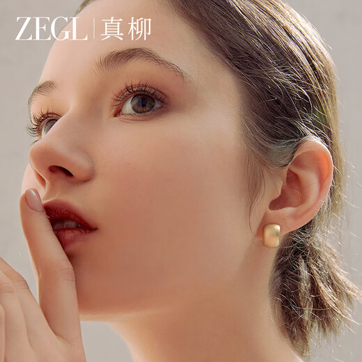 ZEGL simple curved earrings women's earrings 925 silver needles temperament high-end luxury light luxury birthday gift for best friend