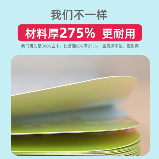 cindybaby小学生学习挂图套装识字全套幼儿童墙贴宝宝认字一年级数字拼音 拼音挂图（带四线）