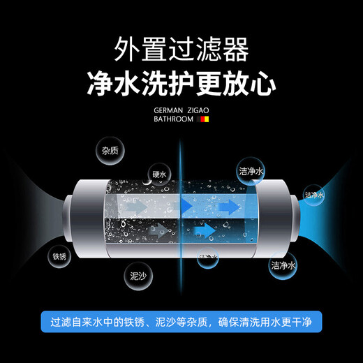 自高（ZIGAO）德国自高智能盖板抗菌助便自动清洗洁身器静音烘干除臭智能坐便盖 【U-659G】防水遥控+抗菌座圈 无忧购