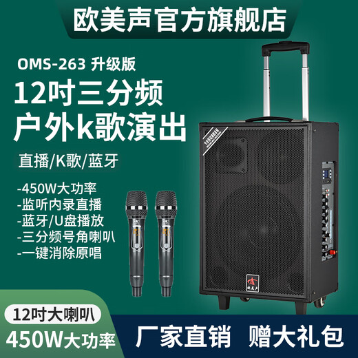 European and American sound 263 outdoor audio karaoke special all-in-one machine with sound card professional three-way singing high-power portable square dance Bluetooth trolley speaker with wireless microphone 12 inches 12 inches/263+2 microphones + spree