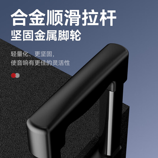 HiVi 8-inch professional square dance audio conference ktv audio Bluetooth trolley speaker outdoor standard dual wireless microphone electric acoustic guitar folk instrument speaker MA08