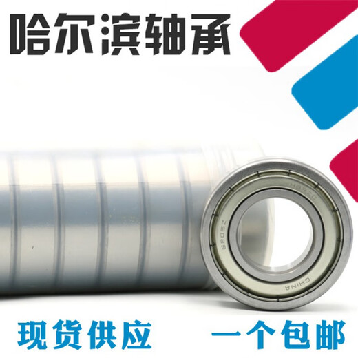 Qilicai Harbin -Lager 6217 6218 6219 6220 6221 6222 6224 6226 2Z 6220 Qualitätskautschukabdeckung