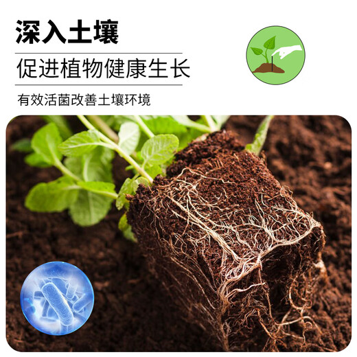 Dewoduo plant nutrition bar universal 30-pack gardening green plant flower fertilizer vegetable slow-release fertilizer flower planting stick