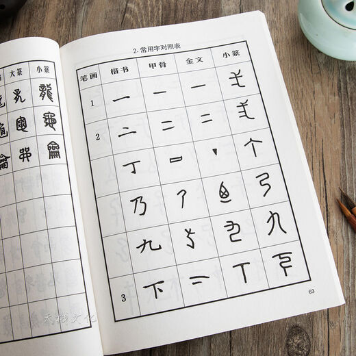 怎样写篆书甲骨文金文技法集唐诗章法入门毛笔书法练字帖临摹字典 精装篆书字典795页