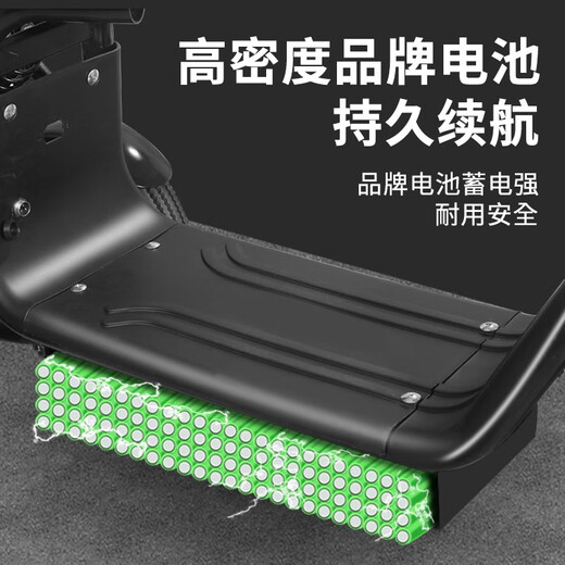 Biwit Electric Tricycle Small Leisure Folding Adult Lady Elderly Pickup Children Battery Car Scooter New Generation Knight Black Remote Start 48V12A Lead Battery 100 Miles/Double Brake Shock Absorption