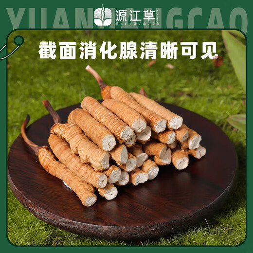 Yuanjiang-Gras, Cordyceps sinensis, Cordyceps sinensis, ausgewählter Cordyceps sinensis, erschwingliches Paket, Nahrungsergänzungsmittel für ältere Menschen, Geschenkbox zur Selbstverwendung, 50 g Cordyceps sinensis, gratis 5 Gramm