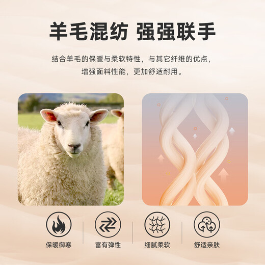 Raidy Boer/Raidi Boer woolen thick presbyopic pattern stand collar jacket for men 4017-79 black pattern 175/50/L