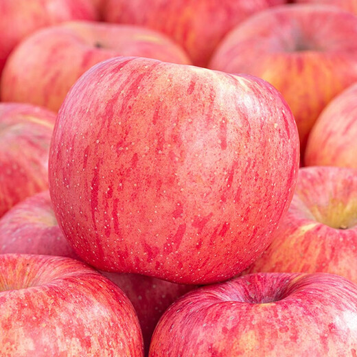 Shawo Shuguang Shaanxi Luochuan Red Fuji Apple Fruit Fresh Crispy Sweet Rock Candy Heart Seasonal Ugly Apple Fruit Fresh Preferred 4.5 Jin [Jin equals 0.5 kg] Pack 70-80mm