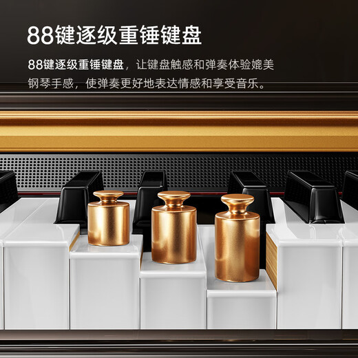 贝琪（Betsy）B321立式电钢琴重锤88键实木琴键成人家用练习专业初学者电子钢琴 演奏级-B321音响款-烤漆黑