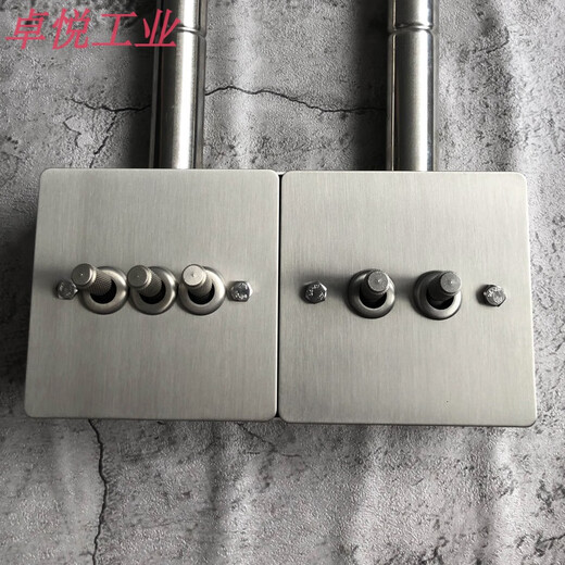 PIALT industrial style lever switch stainless steel panel concealed retro can be exposed to the wire tube open line one open dual control two open dual control (single/double control universal)