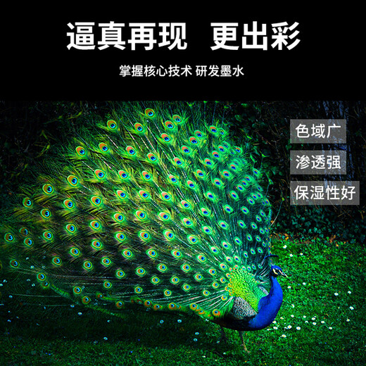 普伟墨水672 适用爱普生打印机L220 L310 L313 L211 L360 L380 L455 四色套装 专用墨水
