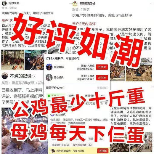 More eggs, more eggs, more eggs, more eggs, more eggs, chickens, ducks and geese lay eggs, produce eggs, encourage eggs, change egg quality, feed additives for egg production, special value for 8 packages, buy five and get three free