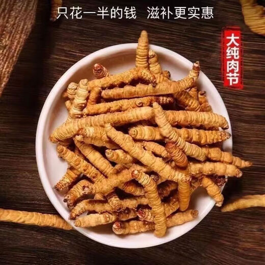 北京同仁堂【黑色星期五】冬虫夏草断虫草断草甘孜非曲滋补养生佳品 - 28克[送人参]