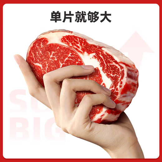 Daxiantian Imported Grain-fed M3 Raw Cut Eye Steak Net Weight 1.5kg Thick-cut Snowflake Beef Fresh from the Americas