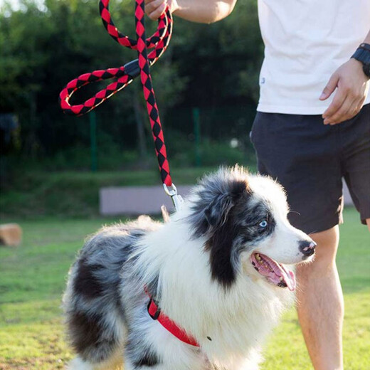Shangpin Dog Dog Rope Small Dog Medium and Large Dog Harness Vest Style Harness Collar Teddy Leash Braided Nylon Three-piece Set Red and Black L Size (Suitable for 25-50 Jin Jin equals 0.5 kg)