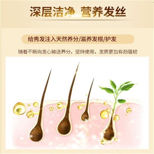 Lao Yan [importado de Hong Kong] Lao Yao Ginger Ginger Shampoo 720ml Enzima de arroz de jengibre esencia Jugo de jengibre Anti-Dandruff 720ml