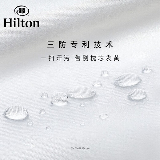 Kangerxin [Hilton Pillow] Antibakterielles Faserkissen, erwachsenes Haushaltsweichkissen, Fünf-Sterne-Hotelkissen Kern, weiße [Hilton-Geschenkbox] Hartes Kissen, Single, ein Paar, zwei