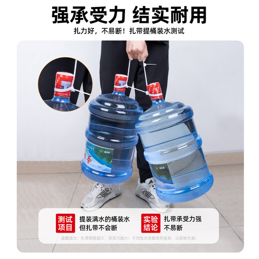 LTS国标尼龙扎带自锁式电脑装机理线带束线带园艺线缆固定捆扎大号小号绑带绳易拉得100条 黑色3*100国标2.5mm宽 100条