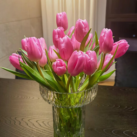 Sweet and Romantic Domestic Tulips 10 Random Colors