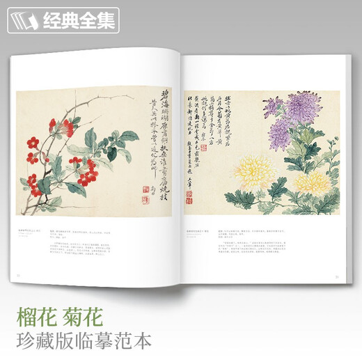 Complete collection of classics, Yun Shouping's painting collection, 8-page Chinese painting copy album, freehand ink Chinese painting landscape, flowers and bird techniques textbook, high-definition copy album page, hundred flowers picture scroll, appreciation and collection of masterpieces, edited by Yang Jianfei