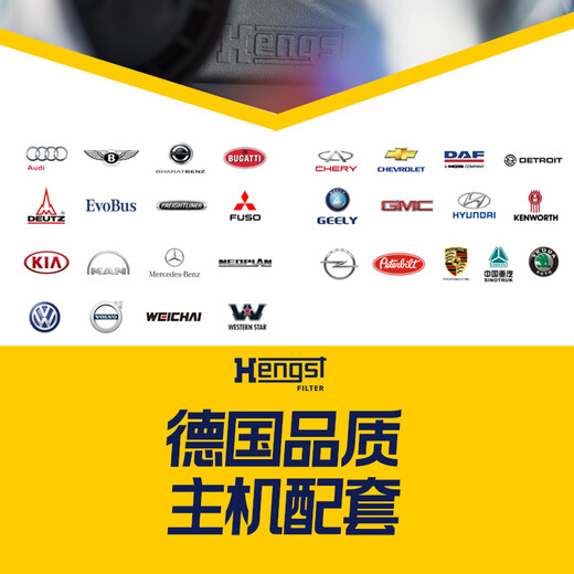 Hangst Hengst Air Filtre Air Climating Filtre Filtre à huile Hyundai / Kia Car Series Filtre à air E1047L RUINA RUIYI / IX25 / XIUER / K2
