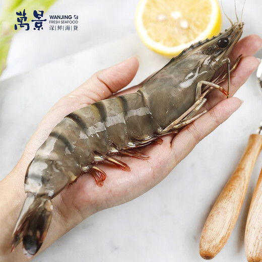 Wanjing Live Frozen Domestic Black Tiger Shrimp (Extra Large) Single Frozen Net Weight 800g/box 13-15 pieces New Year's Eve Goods for Dinners