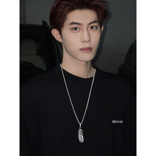 Guanpuge Fat Donglai same necklace for men with T-shirt 2023 titanium steel chain versatile trendy brand long style for women Feather (70cm steel chain)