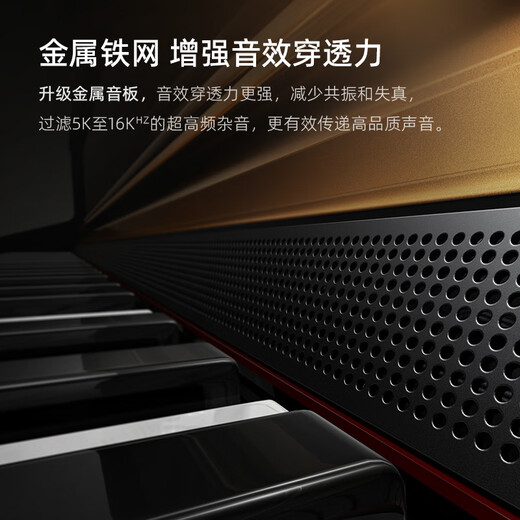 贝琪（Betsy）B321立式电钢琴重锤88键实木琴键成人家用练习专业初学者电子钢琴 演奏级-B321音响款-烤漆黑