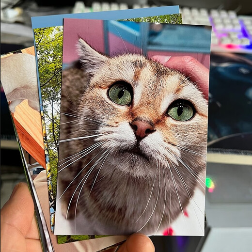 Yinchen Large-Kapazität Album Dieses Album ist 400 567 Zoll gemischtes Insert Album Thin 400 Family Album Memorial Album Baby Growth Record 567-Zoll 400 Fotos ohne Box [kann auf Plastikfotos platziert werden] Das Album wird mit Hartholz-Cover aktualisiert und langlebig upgrade