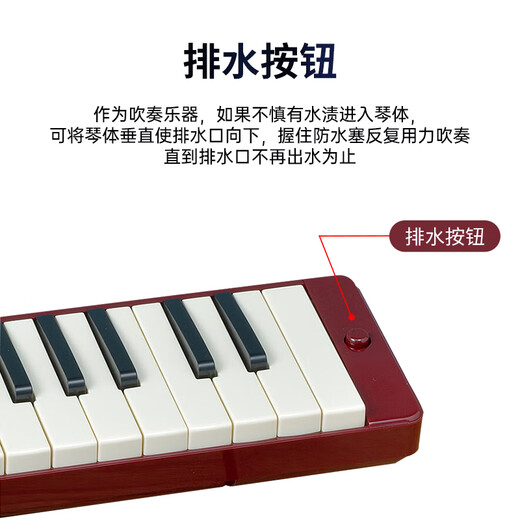 雅马哈（YAMAHA）口风琴键盘初学专业演奏P-37D棕红色37键【学生适用 老师推荐】