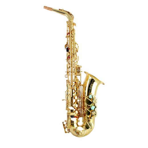 
Xinghai Saxophone, E-flat alto saxophone, adult beginners, recommended wind instruments for students' grade exam experts, alto XAS-120