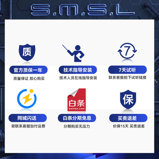 双木三林SMSL A300蓝牙功放 功率放大器 大功率功放机165W 官方标配