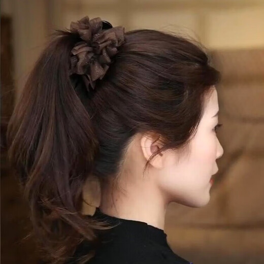 Zhuo Keke Bow Hair Clip Women's 2025 New Temperament and High-end Ponytail Clip Back of the Head Ball Hair Clip Coffee Color Seersucker