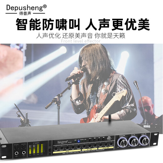 Depusheng REV3900 KTV pre-amp effector with rechargeable wireless microphone for home karaoke singing TV reverberator box commercial anti-howling audio processing USB fiber optic Bluetooth REV3900 without handheld