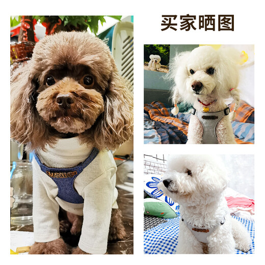 Puppytie dog leash dog rope dog rope vest type Teddy pet harness name can be customized Denim blue - harness S - small recommended 8-16 Jin Jin equals 0.5 kg