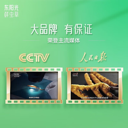 Dongyang Sunshine Fresh Cordyceps Box cadeau Cordyceps Gift nutritionnel haut-gir