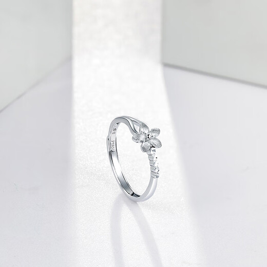 Saturday Fortune PT950 Fashionable Platinum Ring Women's Love Birthday Gift PT013140 No. 12 About 2.74g
