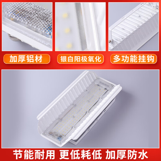 LED-Jod-Wolfram-Lampe, Baustellenbeleuchtung, 1000 W, ultrahell, wasserdicht, Arbeitsscheinwerfer für den Außenbereich, Halogen-Wolfram-Solarlampe, Spray, weiß, erweiterte und verdickte Version, 100 Watt – weißes Licht, andere x andere