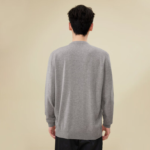 Heilan House Pure Wool Cardigan Men's Light Business Classic Series Sweater Winter Men's HNZAW3Y055A Oats 5A XL 180/96A Recommended 76-82kg