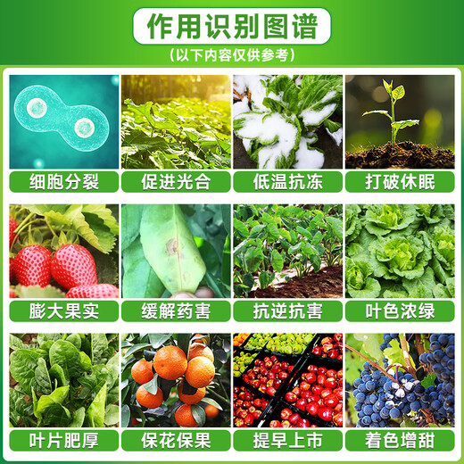 8% amine fresh ester lipid, vegetable and fruit tree, low temperature anti-freeze, disease resistance, stress and anti-drug damage expansion, anti-freeze growth regulator 10g*50 bags