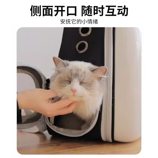 Capsule de sac de sac de chat du jour le lendemain de Bei Chuzhong Capsule portable pour animaux de compagnie PORTABLE BOIRE BOX AIR SORTIELLE BOX SUCTRACE NOIR ET BLANC [PAS DE PORTE DE SACE] [Applicable à 18 Jin [Jin est égal à 0,5 kg] Cat intérieur]