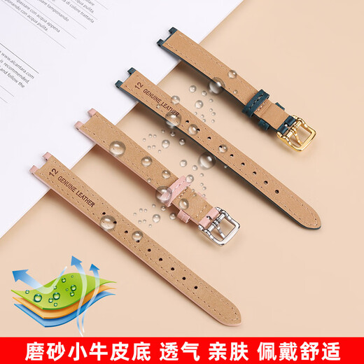Zhuo Lei is adapted to COACH PARK small green watch 14503534/3894 women's small size notch leather watch strap blue-silver buckle interface width: 12mm