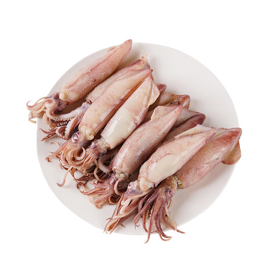 Whole seeds with seeds, fresh seafood, real seeds, whole seeds, black sea rabbits, small squid, small squid, full seeds, 8-12 pieces/Jin Jin is equal to 0.5 kg 1 Jin Jin is equal to 0.5 kg