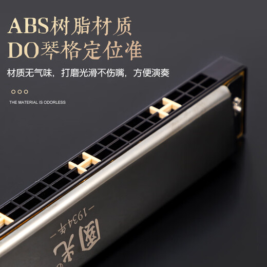 Guoguang Harmonische 28-Loch-Polyphonische C-Tune-Anfänger-Studenten Kinder Jungen und Frauen Selbststudieneingangsorgan Instrument C-Tune 28-Loch [Black Wide Range] Polyphonic + Full
