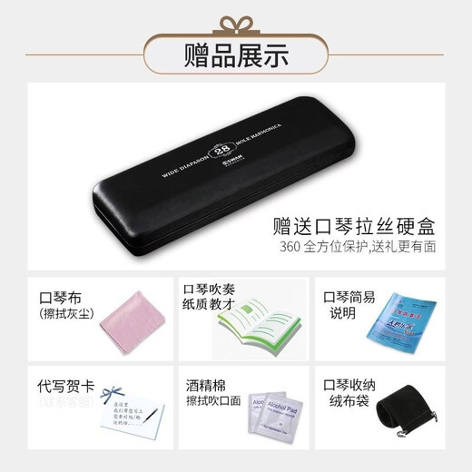 天鹅德国进口音簧28孔复音口琴高端成人重音送礼品专业演奏级乐器 金色复音C调