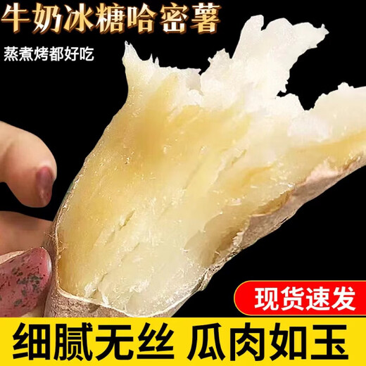 Autumn and winter vegetables Authentic Hami rock sugar sweet potato live broadcast room candied chestnut sweet potato supermarket breakfast Hami rock sugar sweet potato 2Jin Jin equals 0.5kg in box medium large fruit (single fruit 150g-500g)