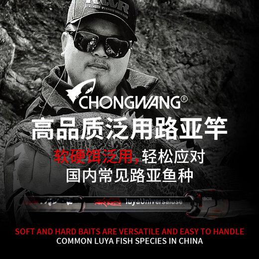 虫王路亚入门专用路亚竿超快调枪柄直柄鲈鳜鱼翘嘴泛用虫竿 2.04m 虫王临【枪柄682-M】