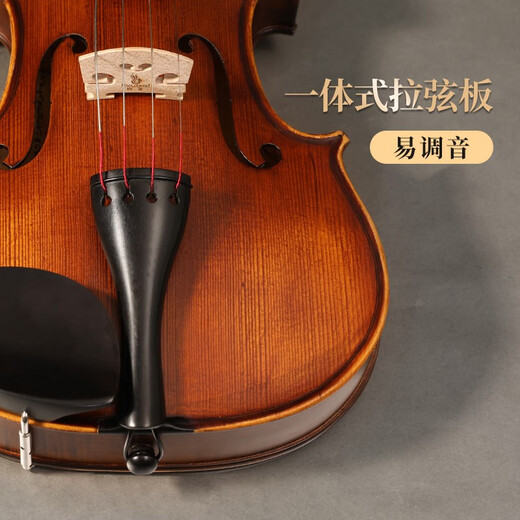 凤灵小提琴成人儿童专业演奏级初学者入门欧料手工琴进口10年实木L6 4/4适用高155-220cm