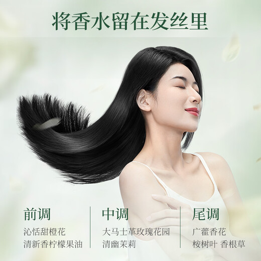 
Adolf Shan Haijing Tea Bran Shampoo Removal and Itchy Anti-Itch Shampoo 350ml Oil Control Fluffy Shampoo Universal Washing Paste for Men and Women