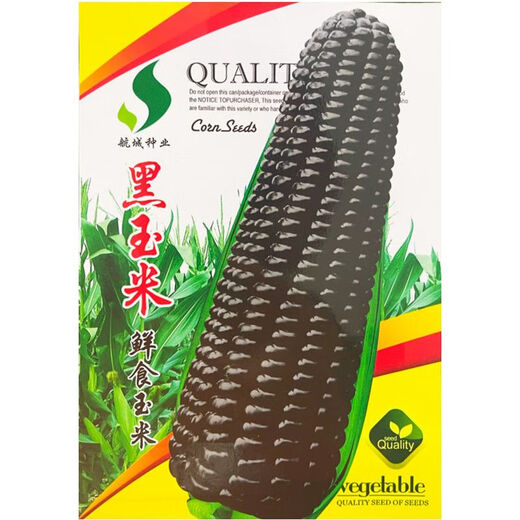 黑甜糯玉米种子黑糯玉米香甜糯玉米种鲜食苞米非转基因黑玉米批发 黑甜糯玉米-种子 原-厂-包-装[新种子]136粒